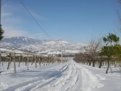 Podere Castorani