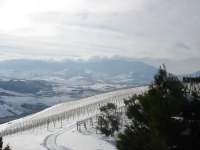 Podere Castorani