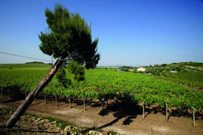 Podere Castorani