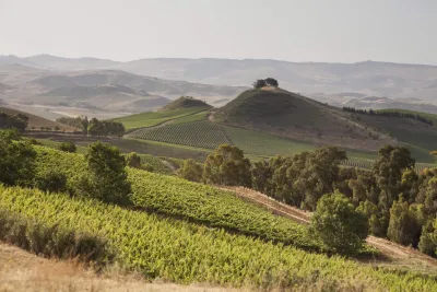 Tasca D'Almerita