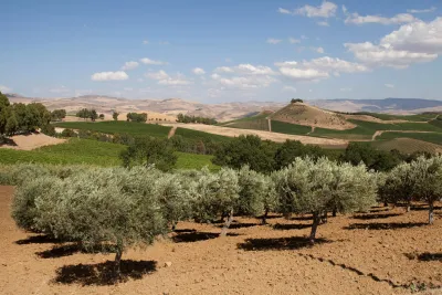 Tasca D'Almerita