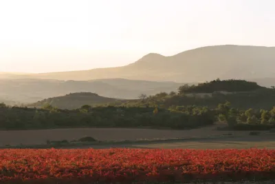 Navajas