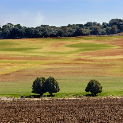 Real Sitio de Ventosilla / Pradorey