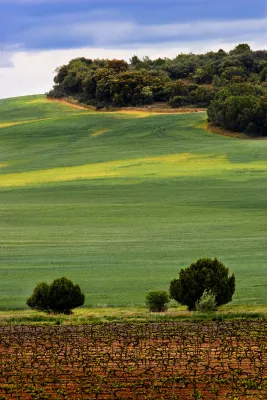 Real Sitio de Ventosilla / Pradorey