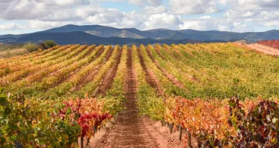 Bodegas Paniza