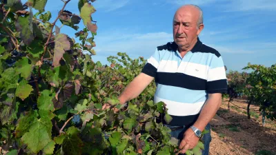 Navarro López