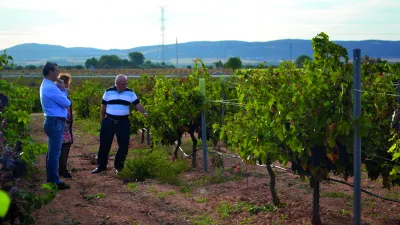 Navarro López