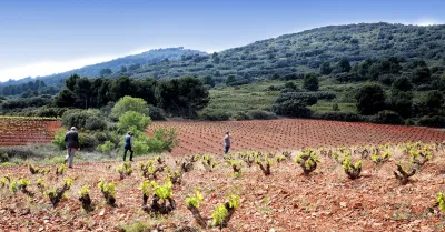 Bodegas Aragonesas