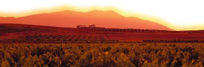 Bodegas Aragonesas