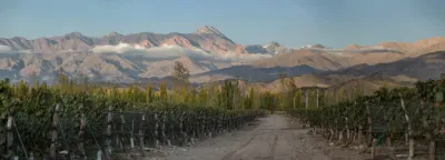 Zuccardi