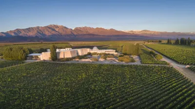 Zuccardi