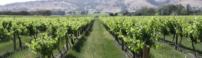 Chateau Tanunda