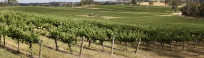 Chateau Tanunda