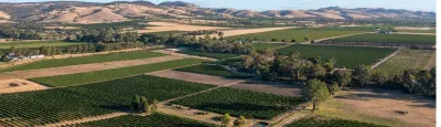 Chateau Tanunda