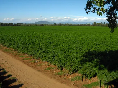 Casas Patronales