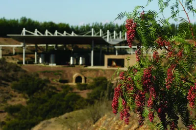Tabali
