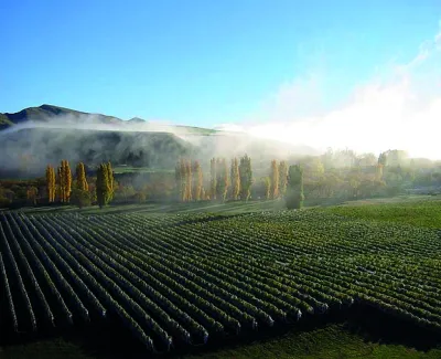 Waipara West