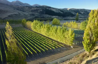 Waipara West