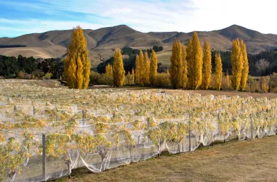 Waipara West
