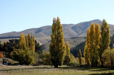 Waipara West