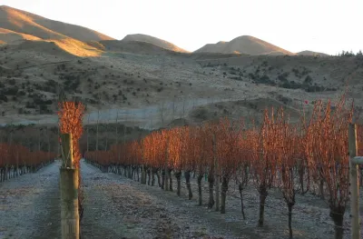 Waipara West