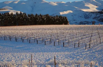 Waipara West