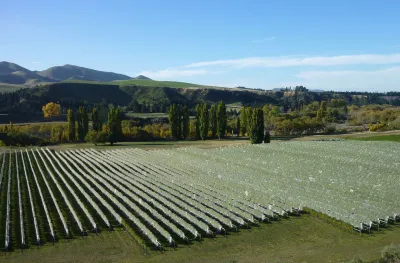 Waipara West