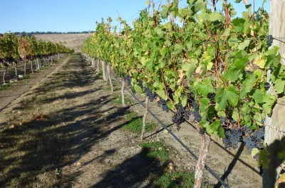 Waipara West