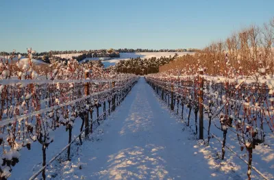Waipara West