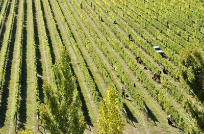 Waipara West