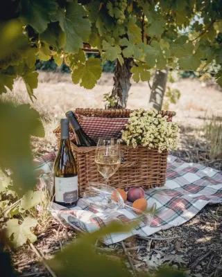Quinta da Alorna