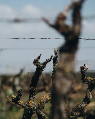 Quinta da Alorna
