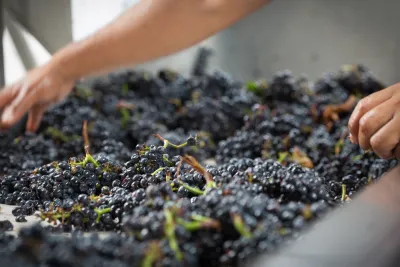 Napa Wine Company