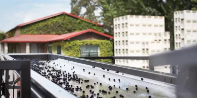 Napa Wine Company
