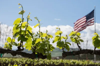 Scheid Family Wines