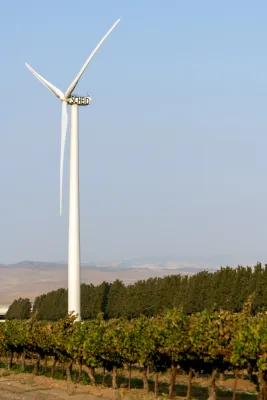Scheid Family Wines