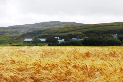 Kilchoman