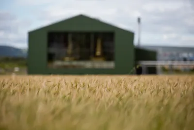 Morrison Scotch Whisky Distillers