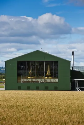 Morrison Scotch Whisky Distillers