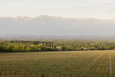 Vazisubani Estate