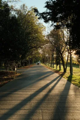 Vazisubani Estate