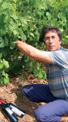 Vidigal Wines