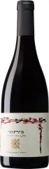 RECANATTI BITTUNI 0,75 2024