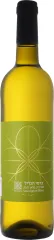 RECANATI SAUVIGNON BLANC 0,75 2024