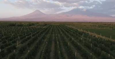 Ararat