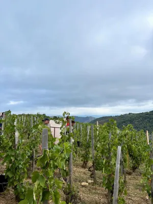 Ferraton Père & Fils