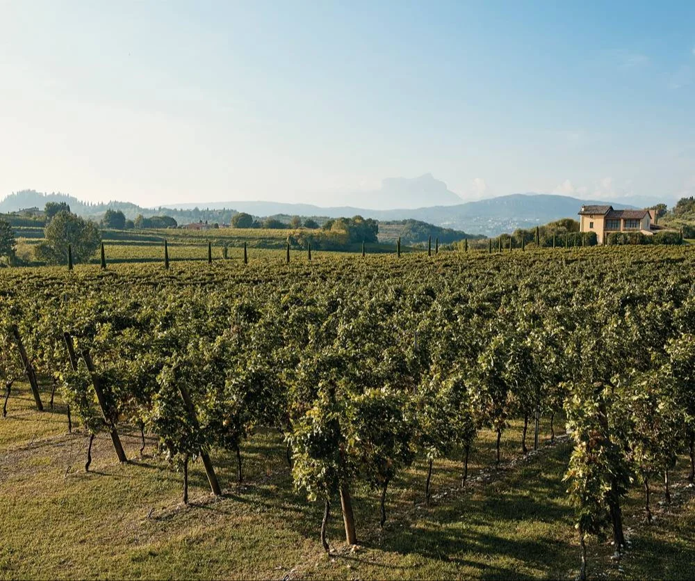 Tinazzi – Italian passion since 1968