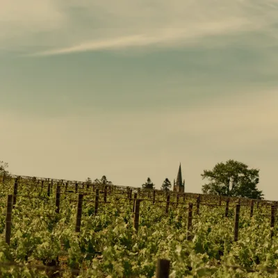Château Fonroque