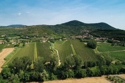 TOSER VINI
