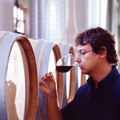 TOSER VINI